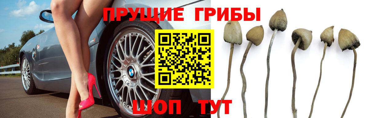 Псилоцибиновые грибы ЛСД Усолье-Сибирское