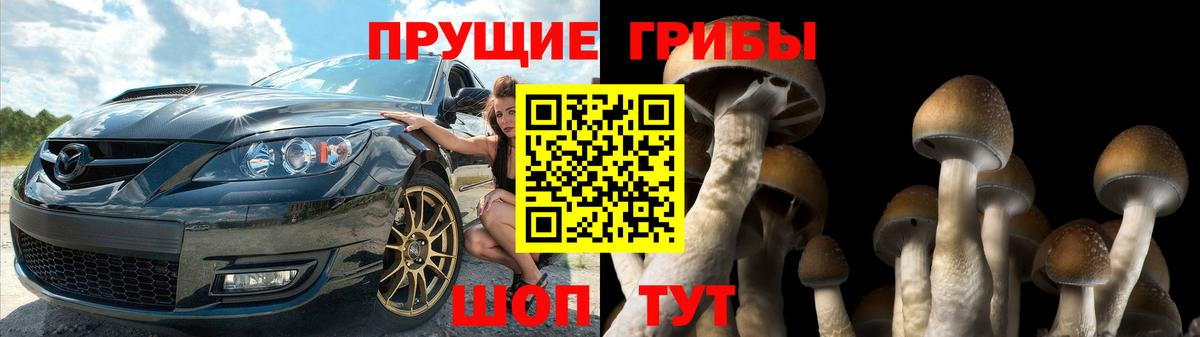 Галлюциногенные грибы MAGIC MUSHROOMS  Вход с VPN  Усолье-Сибирское 